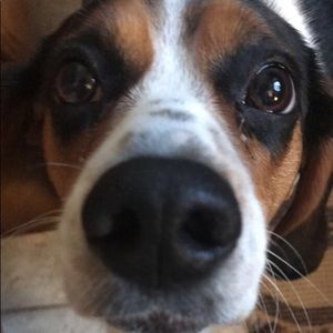 Meet your Posher, Lisa